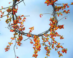 ウメモドキ:11月8日の誕生花らしい