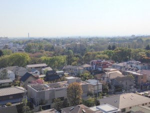 部屋からの眺めです