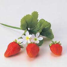 ストロベリー:5月4日の誕生花